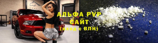 индика Белокуриха