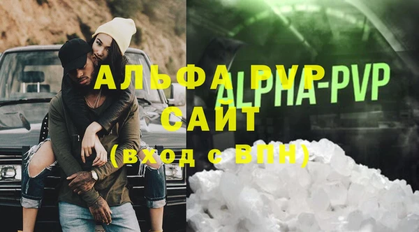 индика Белокуриха