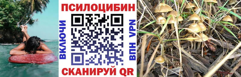 что такое наркотик Ленинградская Псилоцибиновые грибы Magic Shrooms